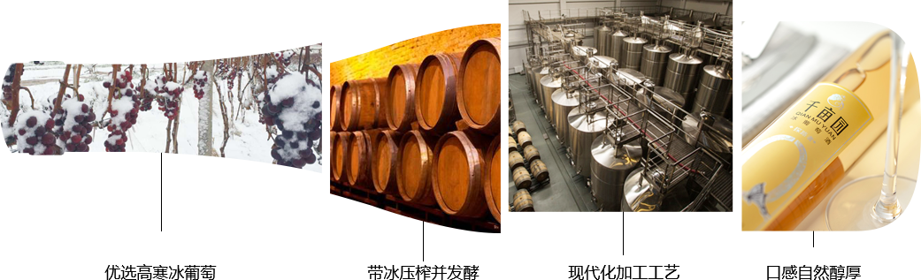 1572313781404637.png 葡萄酒酿造工艺.png